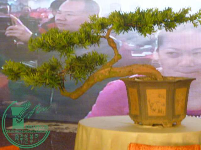 P1080155.JPG