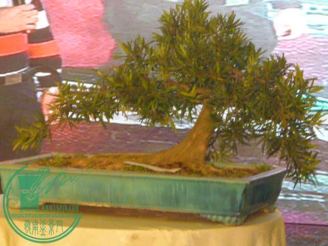 P1080161.JPG