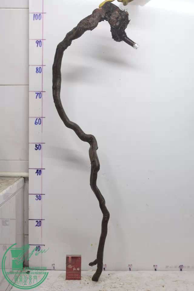psb (1).jpg