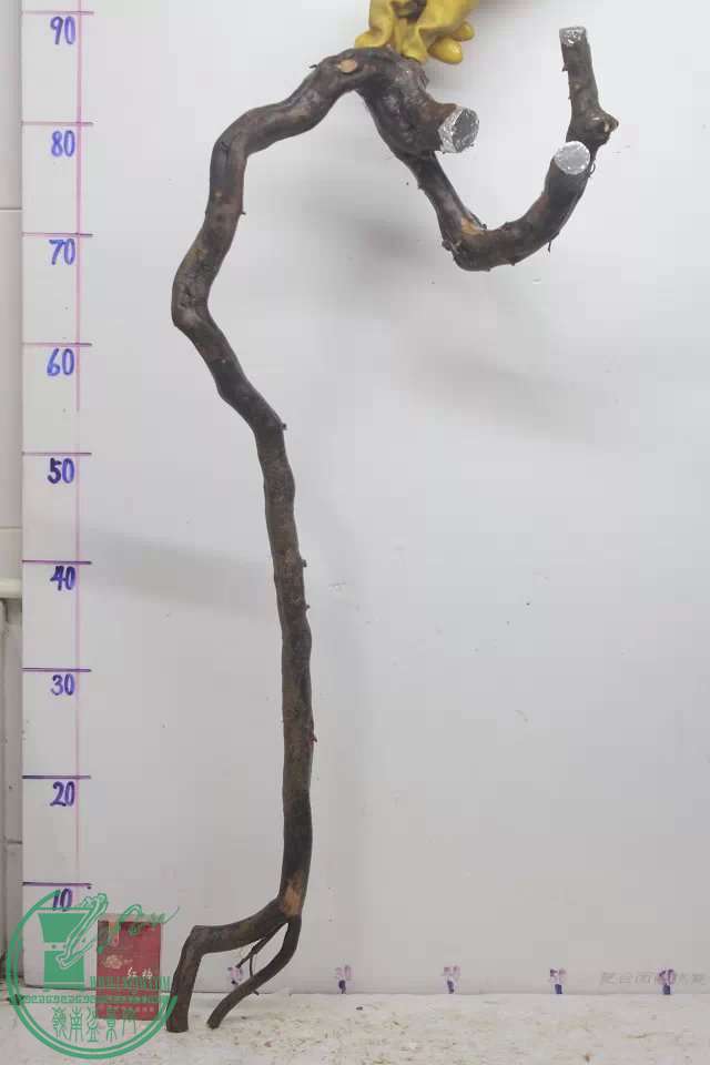 psb (4).jpg