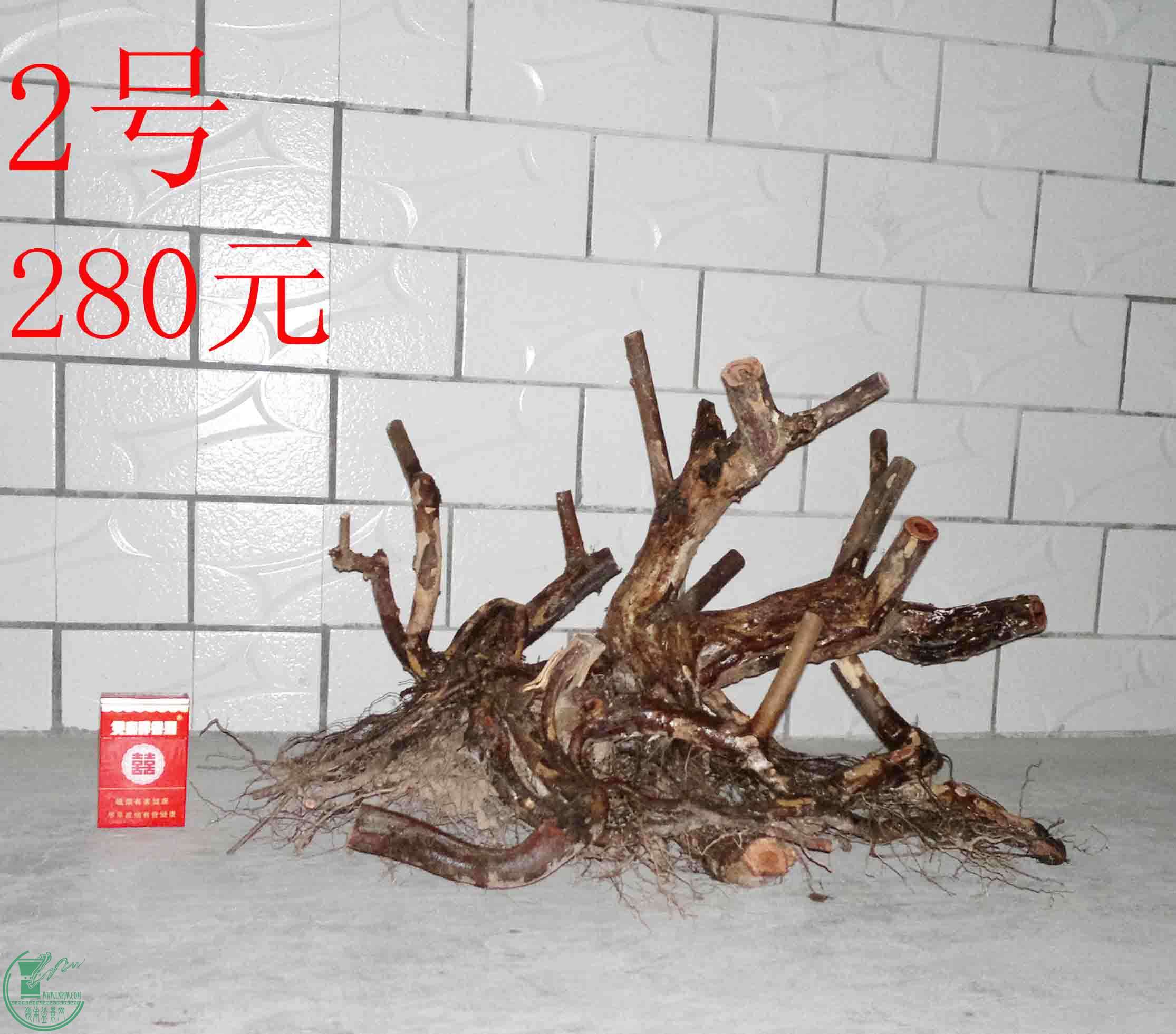 201501291754.jpg