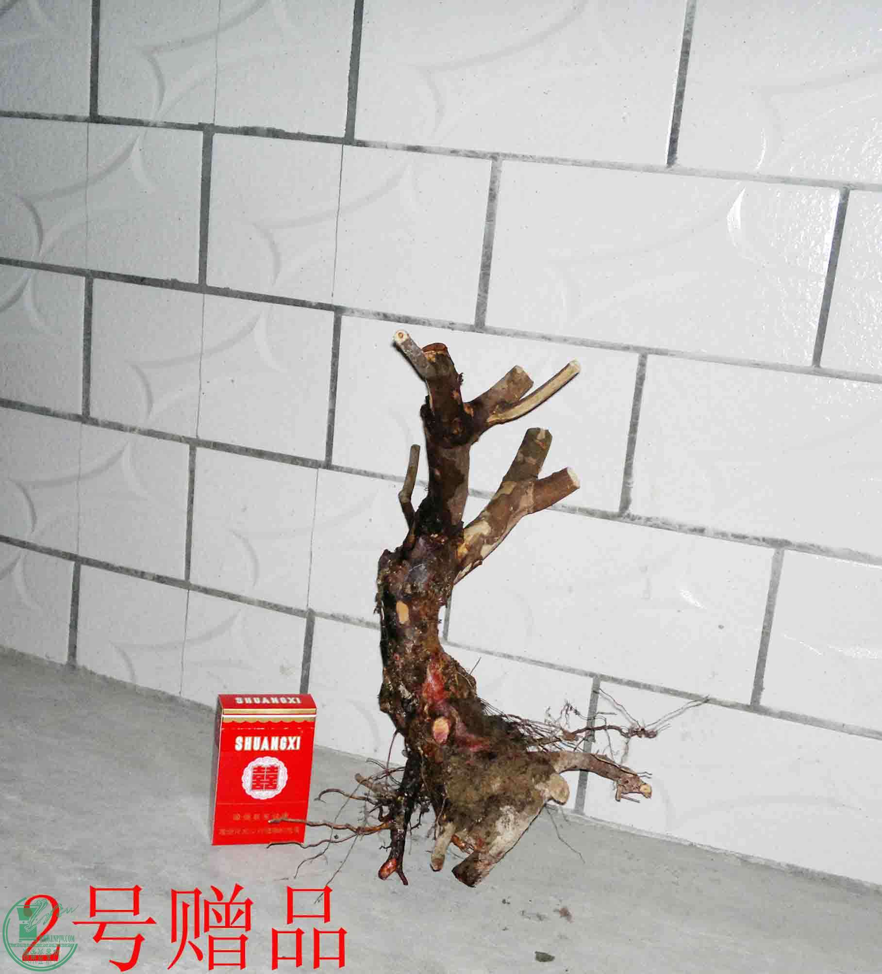 201501291765.jpg