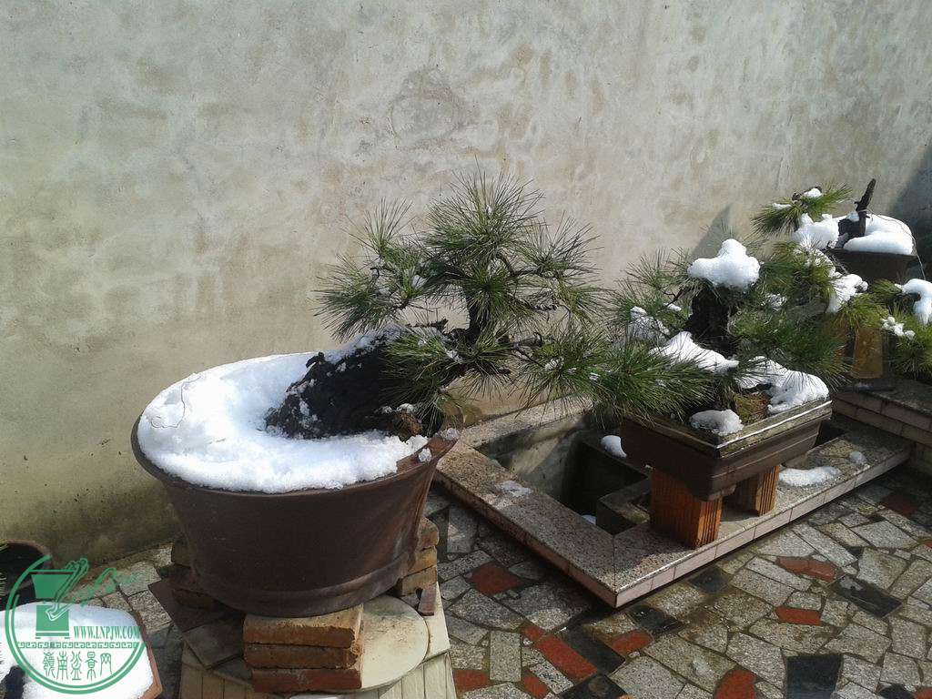 20150130_124544.jpg