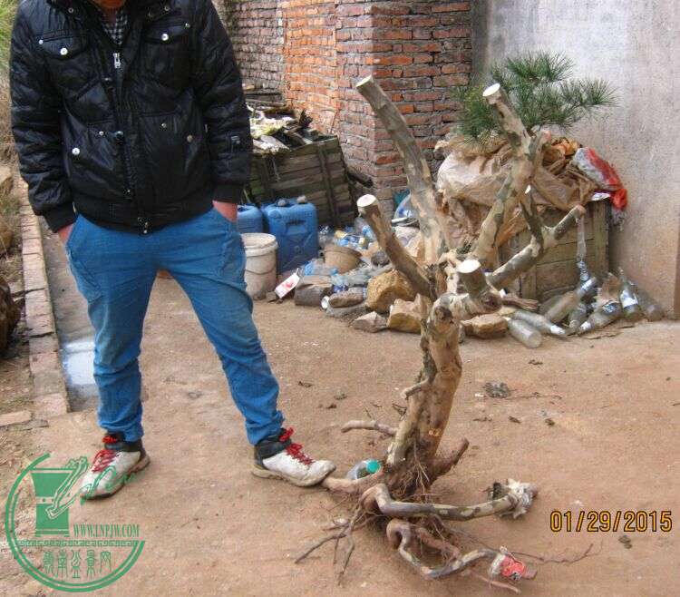 QQͼƬ20150129213104.jpg