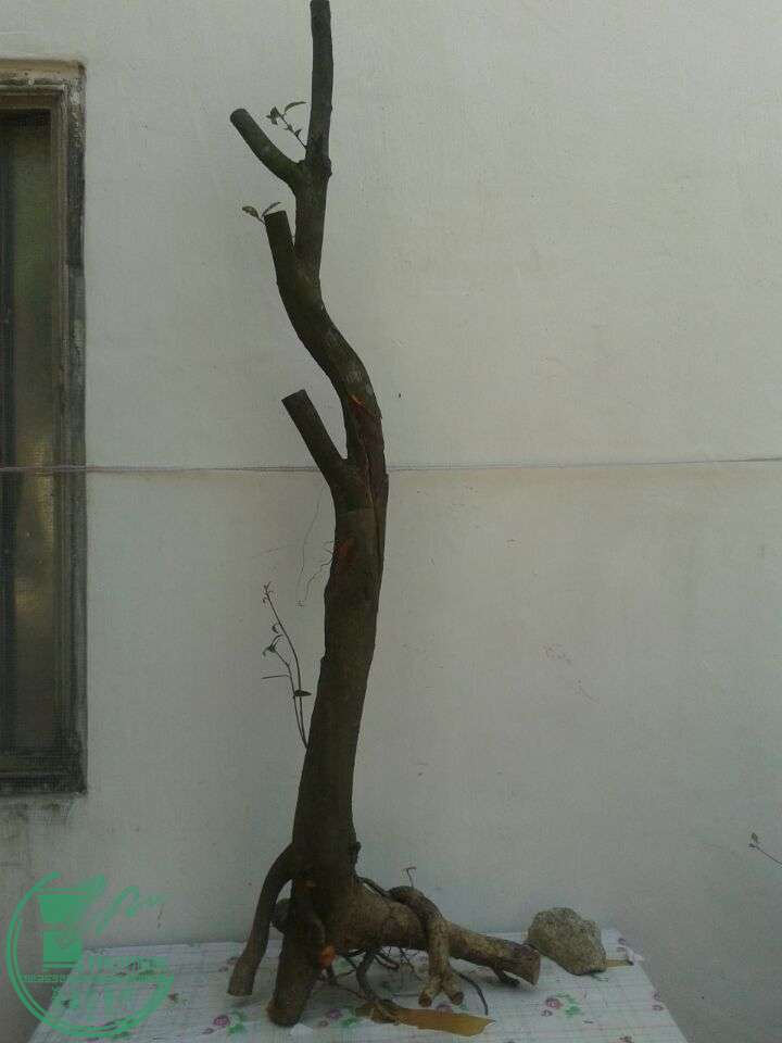 QQͼƬ20150130133530.jpg
