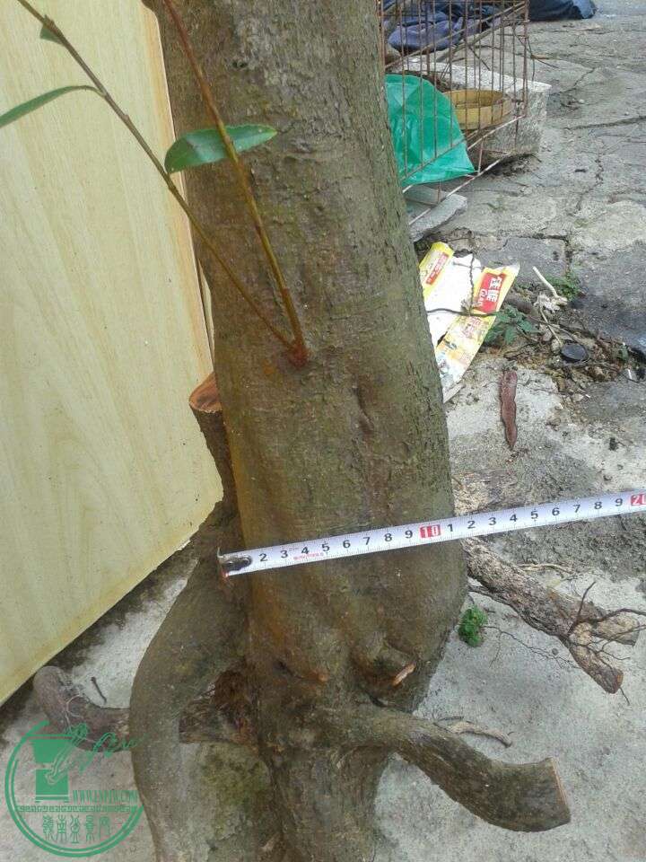 QQͼƬ20150130133547.jpg