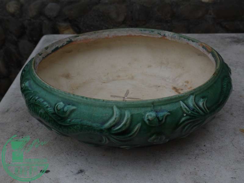 P1200830.JPG