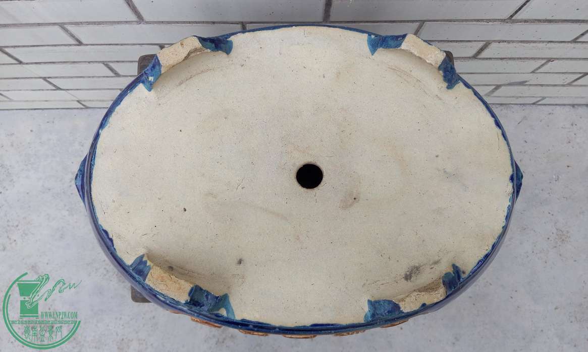 P50131-093849_С.jpg