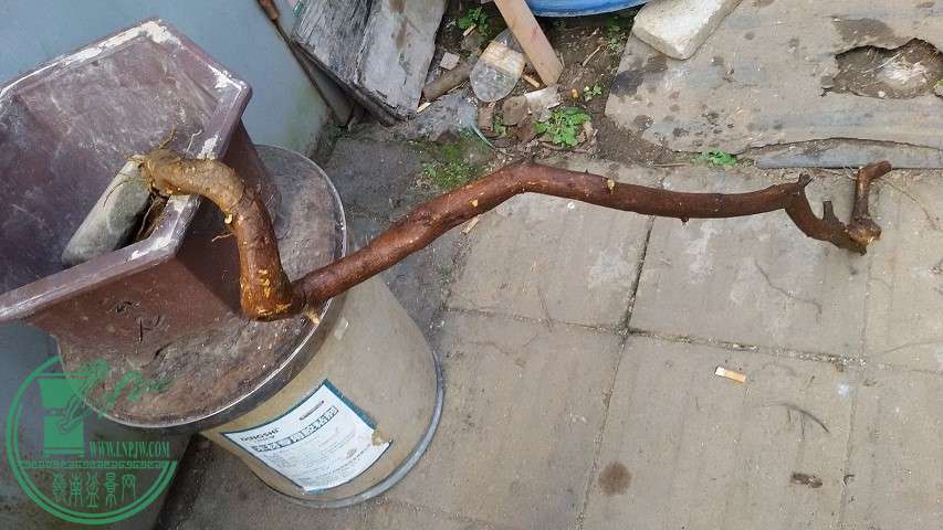 20150131_152327.jpg