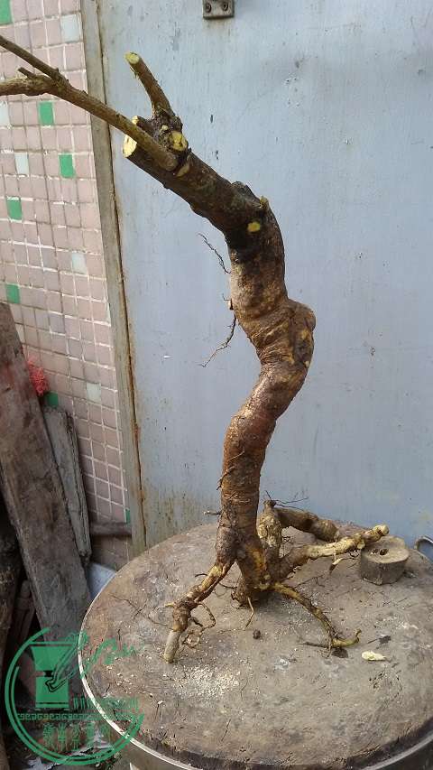20150131_153119.jpg