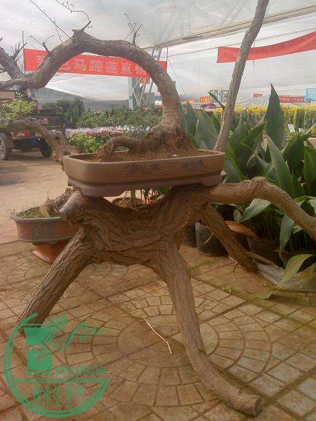 IMG0131111800.jpg