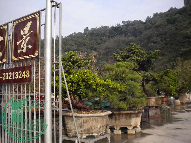  080.jpg