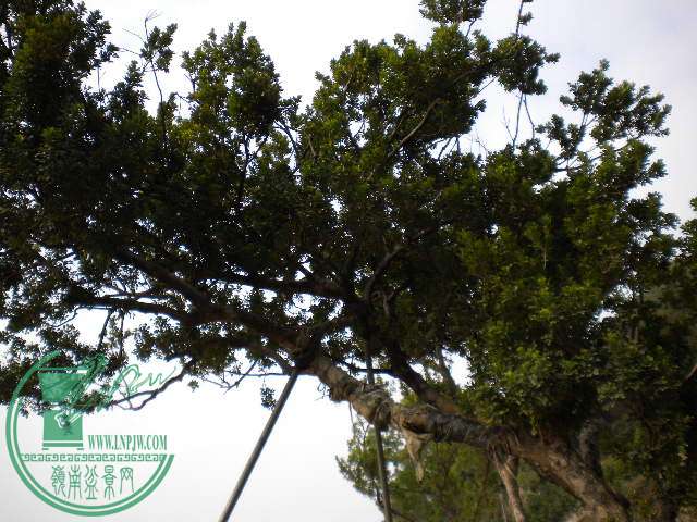  063.jpg