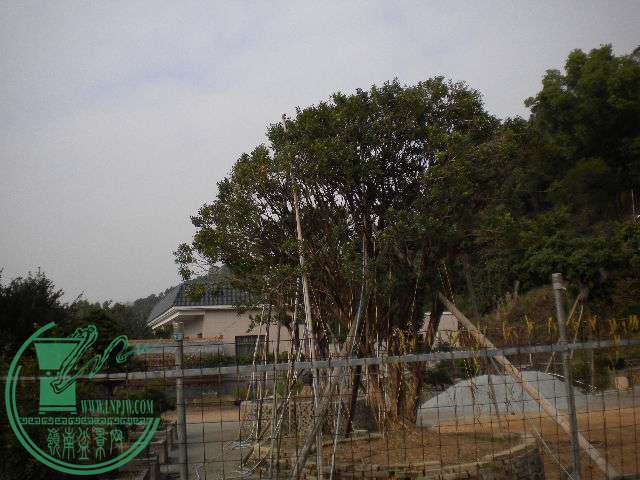  069.jpg