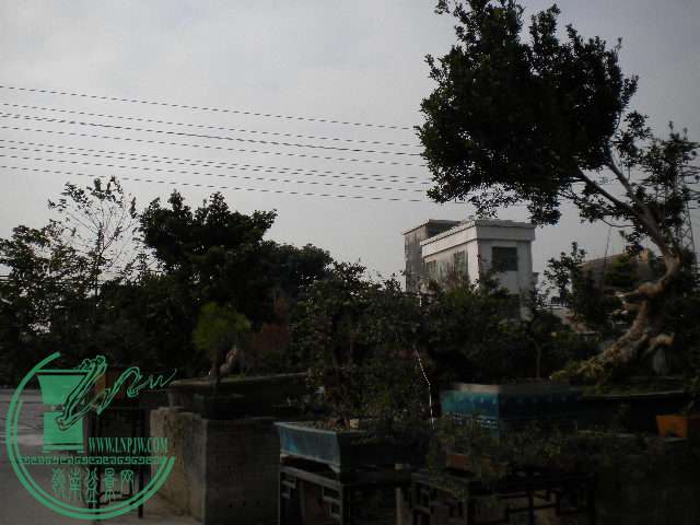  060.jpg