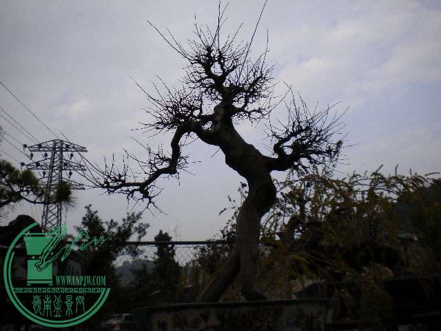  031.jpg