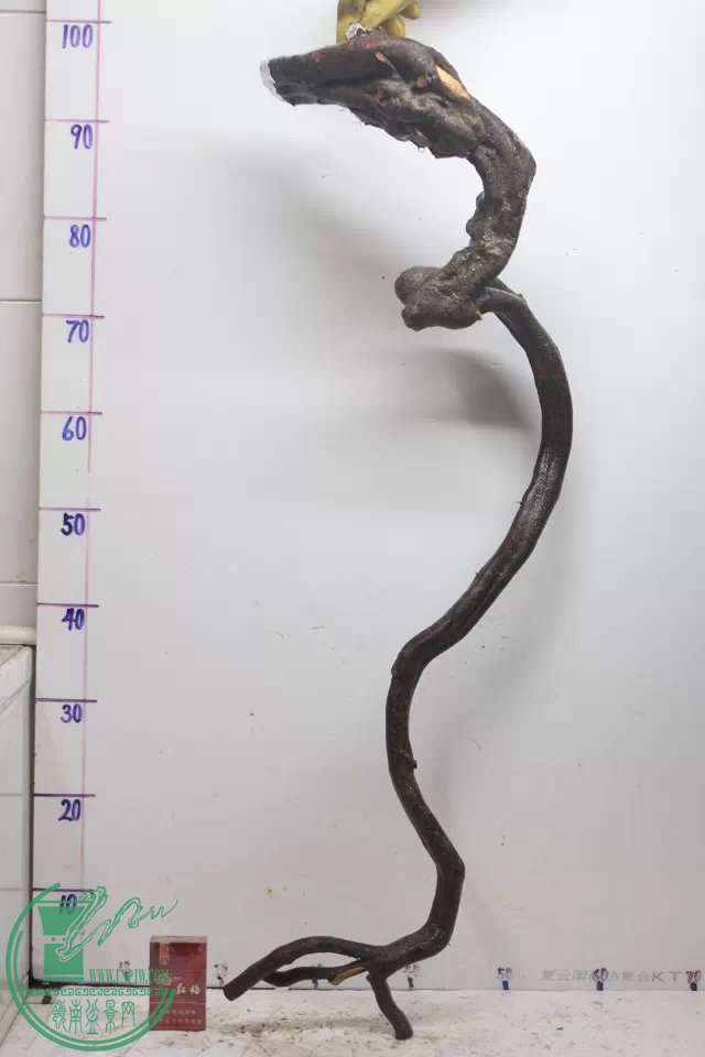 psb (1).jpg