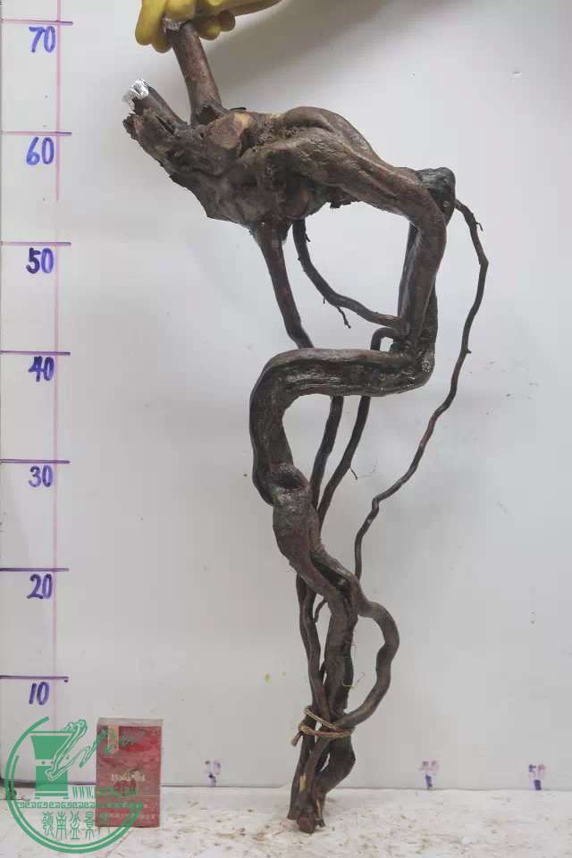 psb (10).jpg