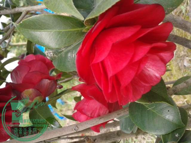 20150201_122912.jpg