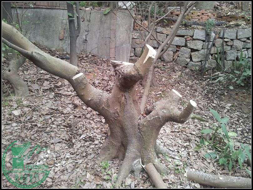˼4.jpg