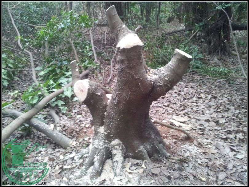 ˼6.jpg