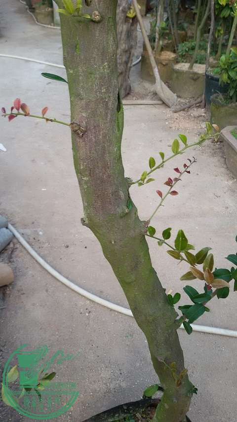 20150202_165407.jpg