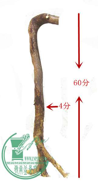 Ƭ 028_.jpg