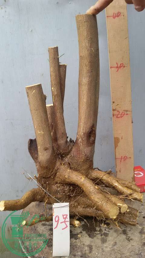 20150203_162613.jpg