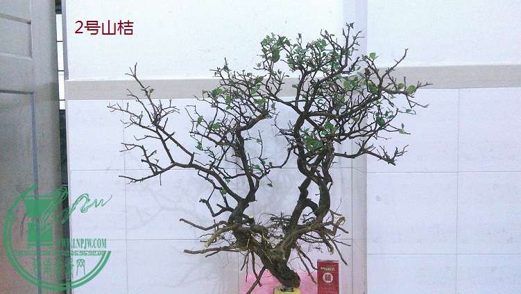 QQͼƬ20150203200737.jpg