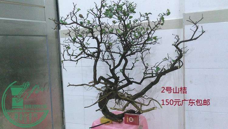 QQͼƬ20150203200743.jpg