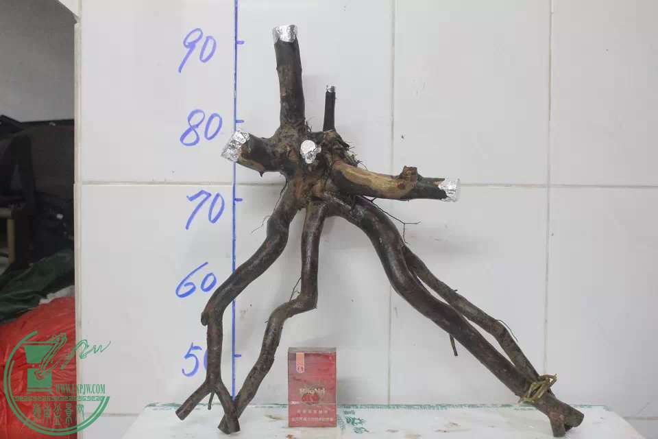 psb (8).jpg