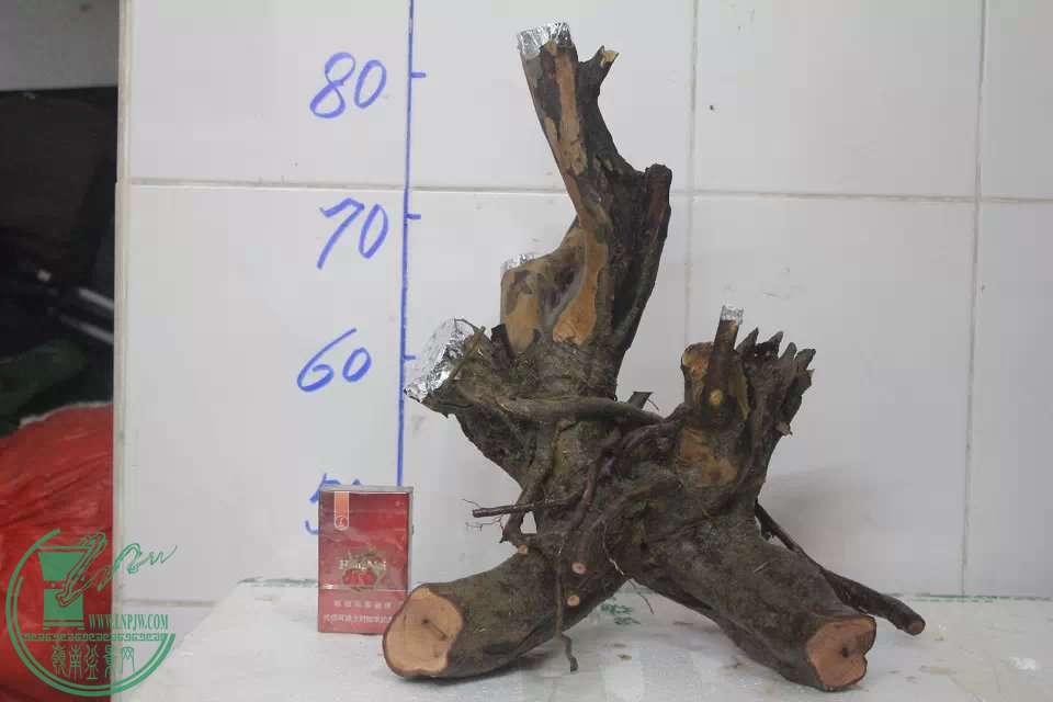 psb (10).jpg