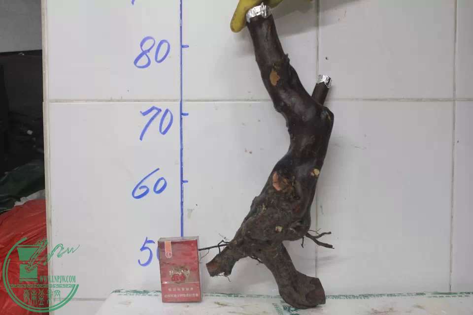 psb (13).jpg