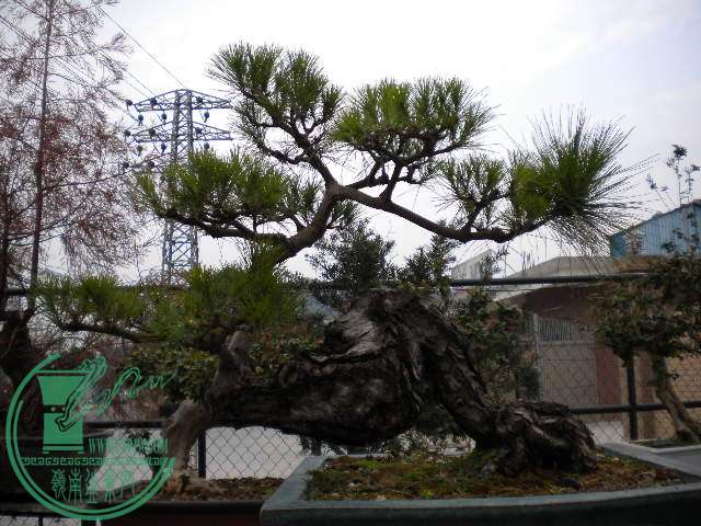  032.jpg