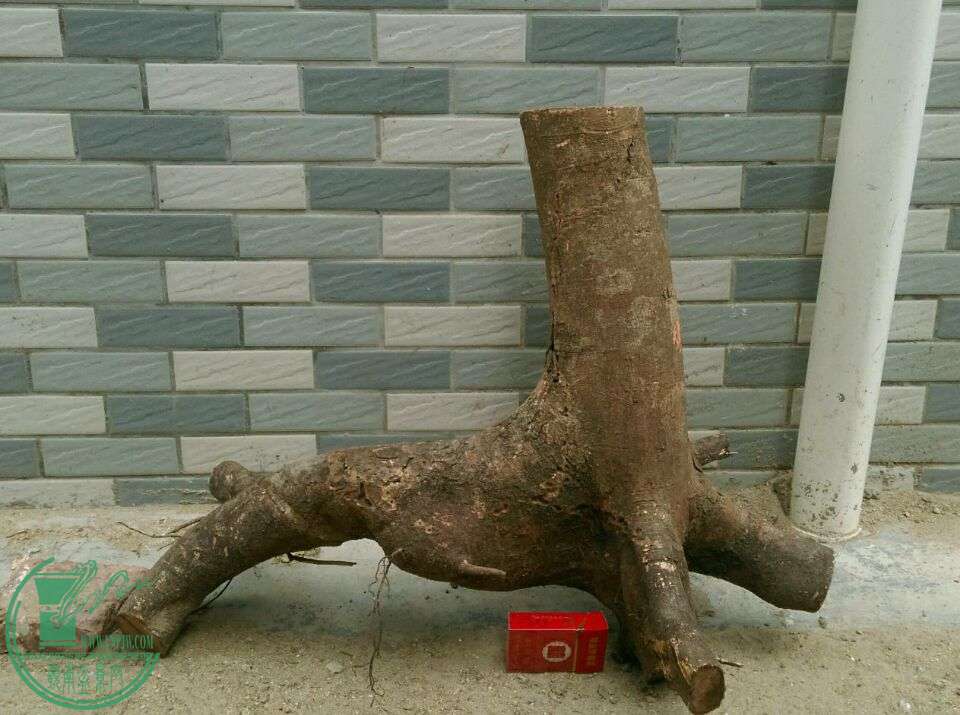 e7b6f0f19e514f7.jpg