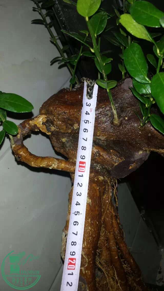 121.jpg