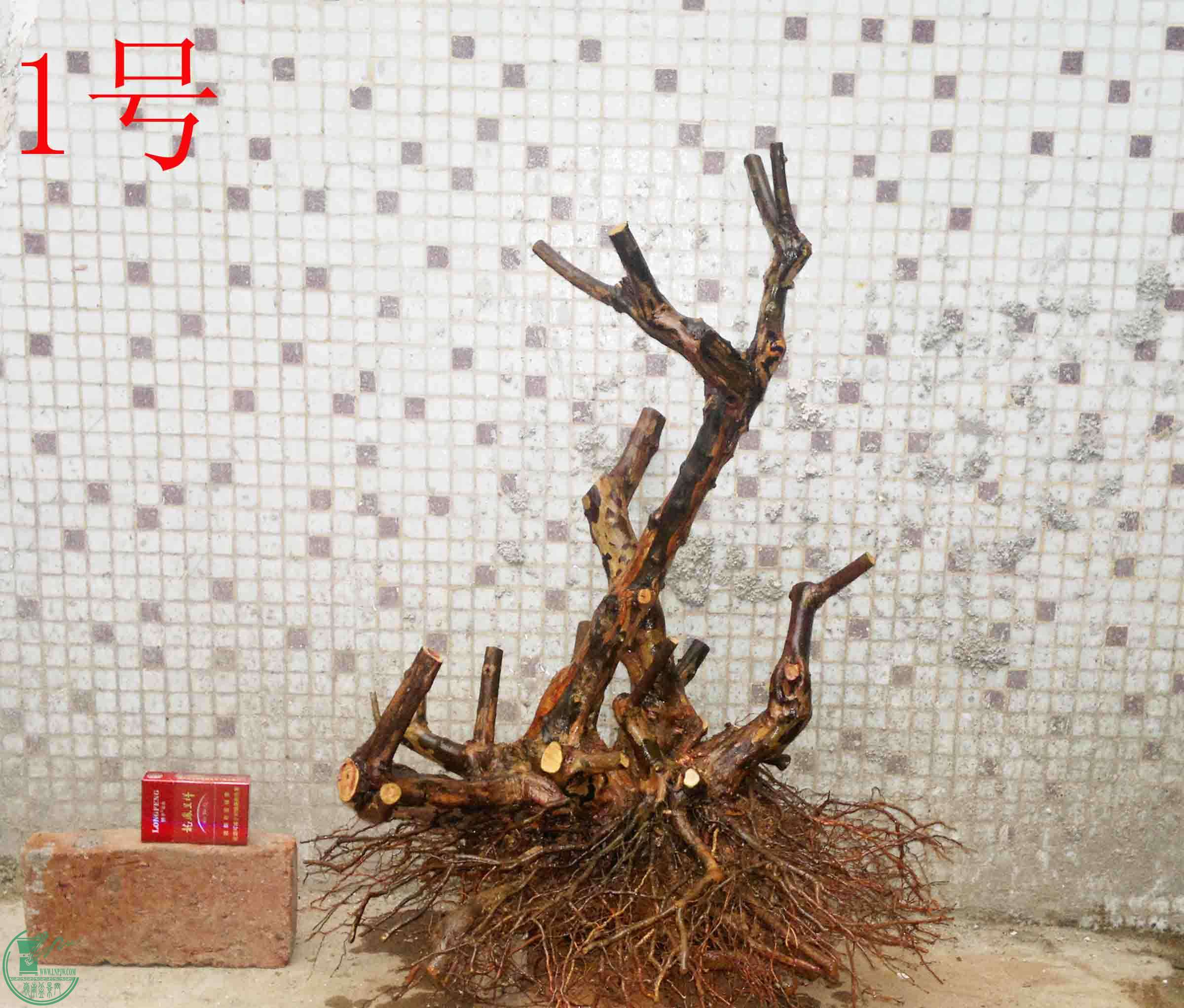 201502051915.jpg