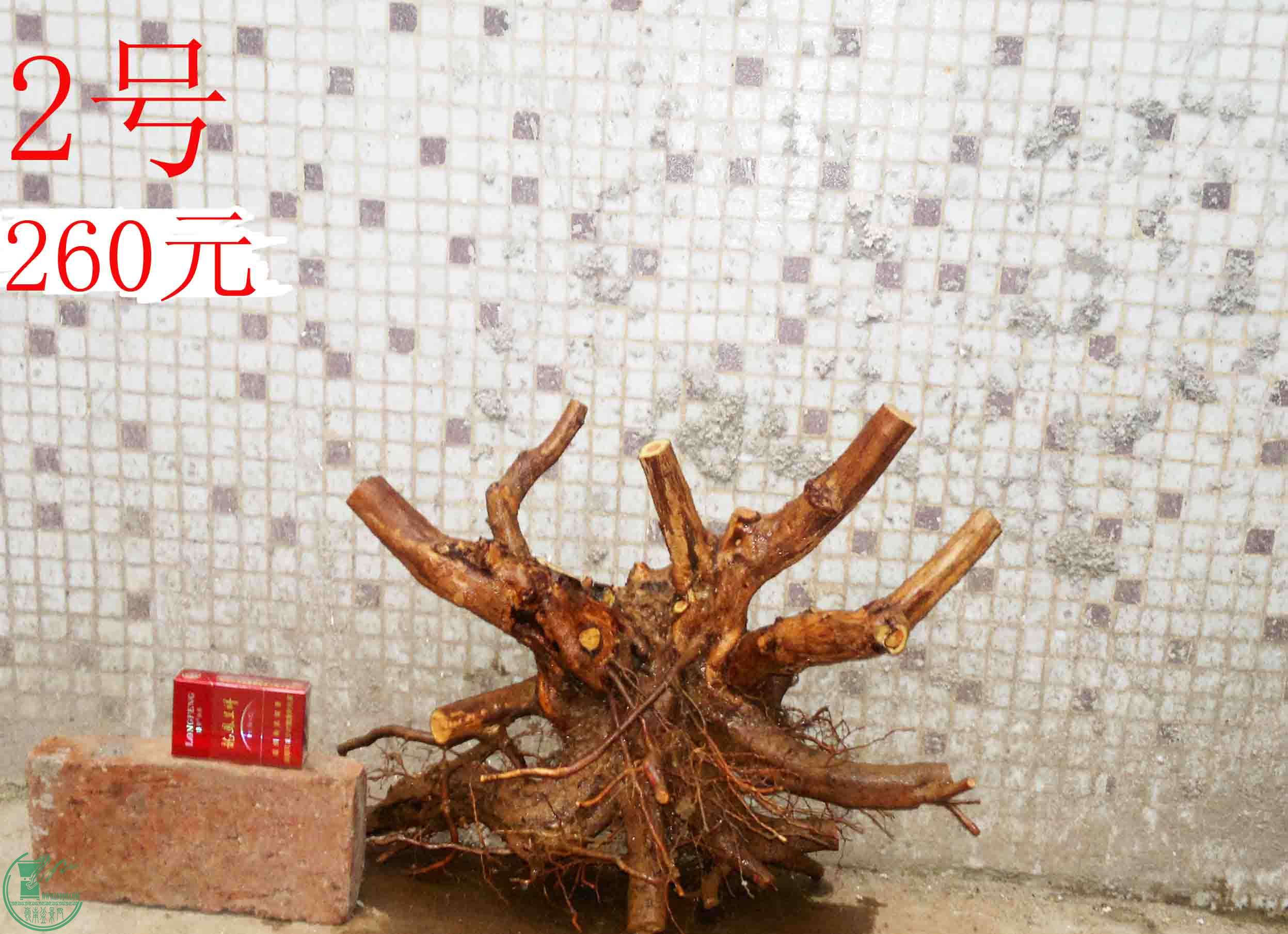 201502051926.jpg