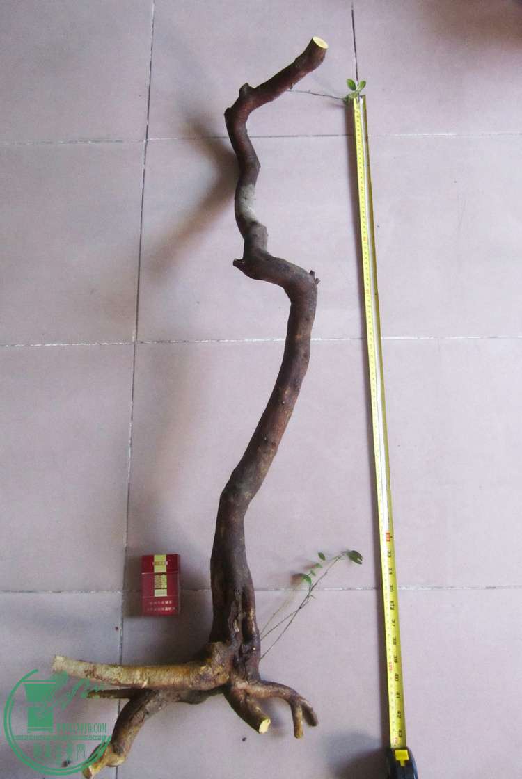 1.1