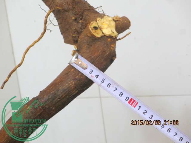 IMG_5376.JPG