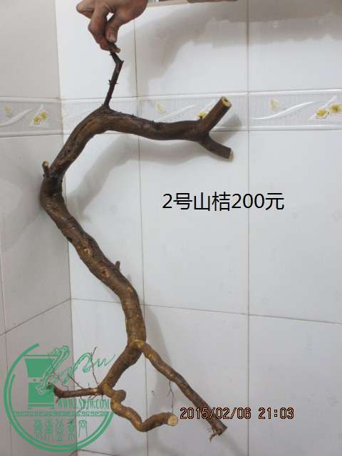 IMG_5368.JPG