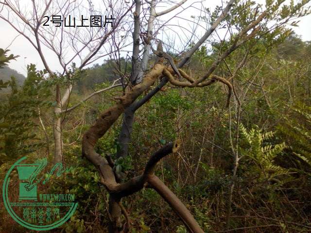 IMG20150206162548.jpg