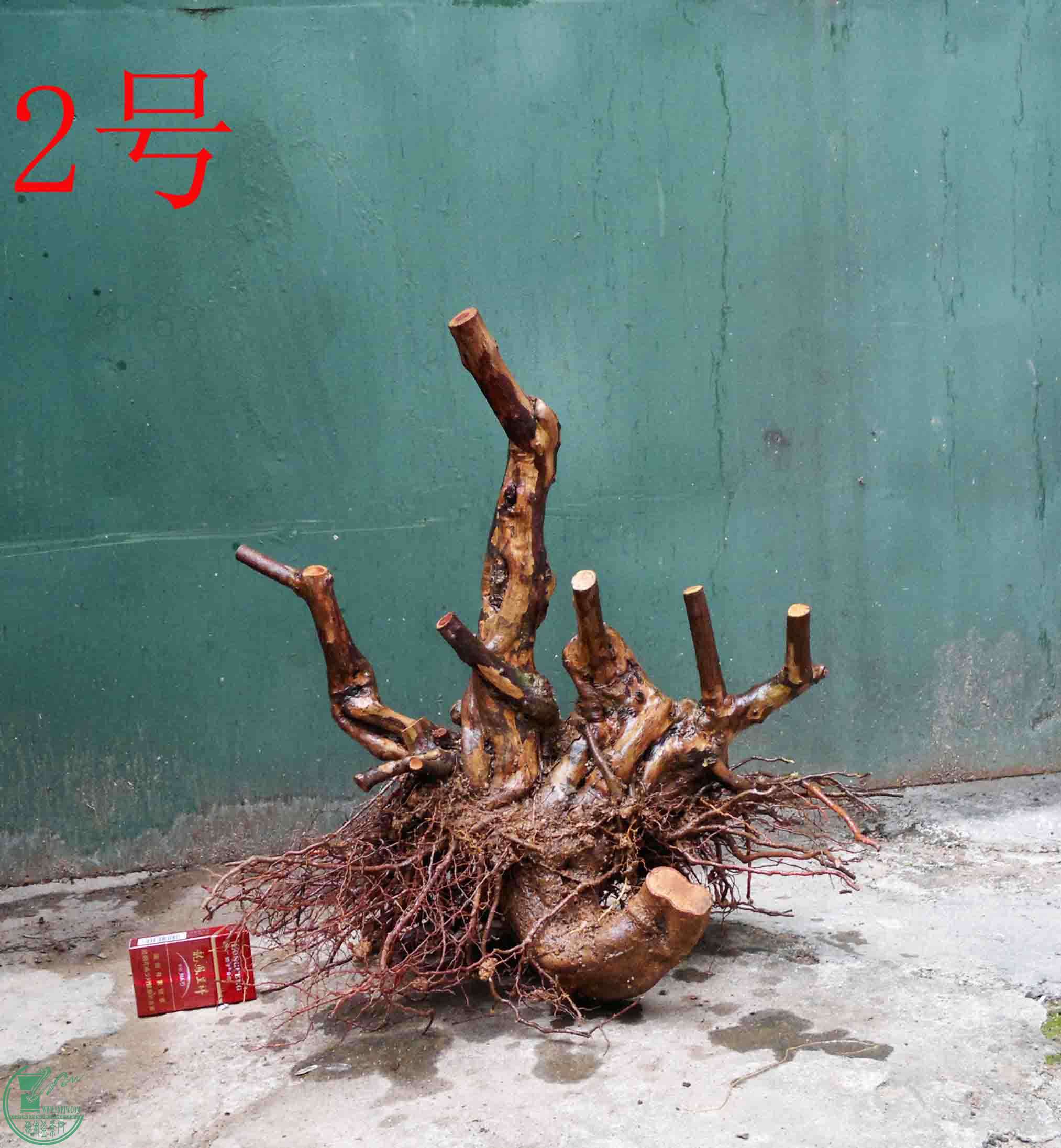 201502071935.jpg