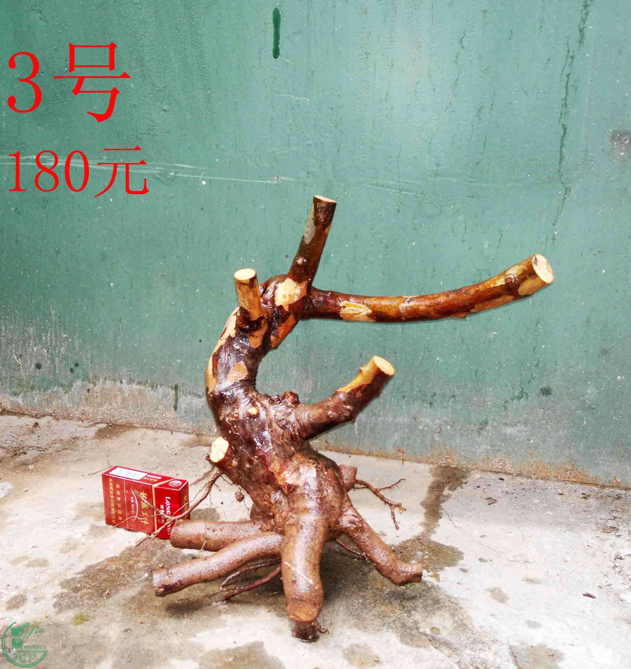201502071940.jpg