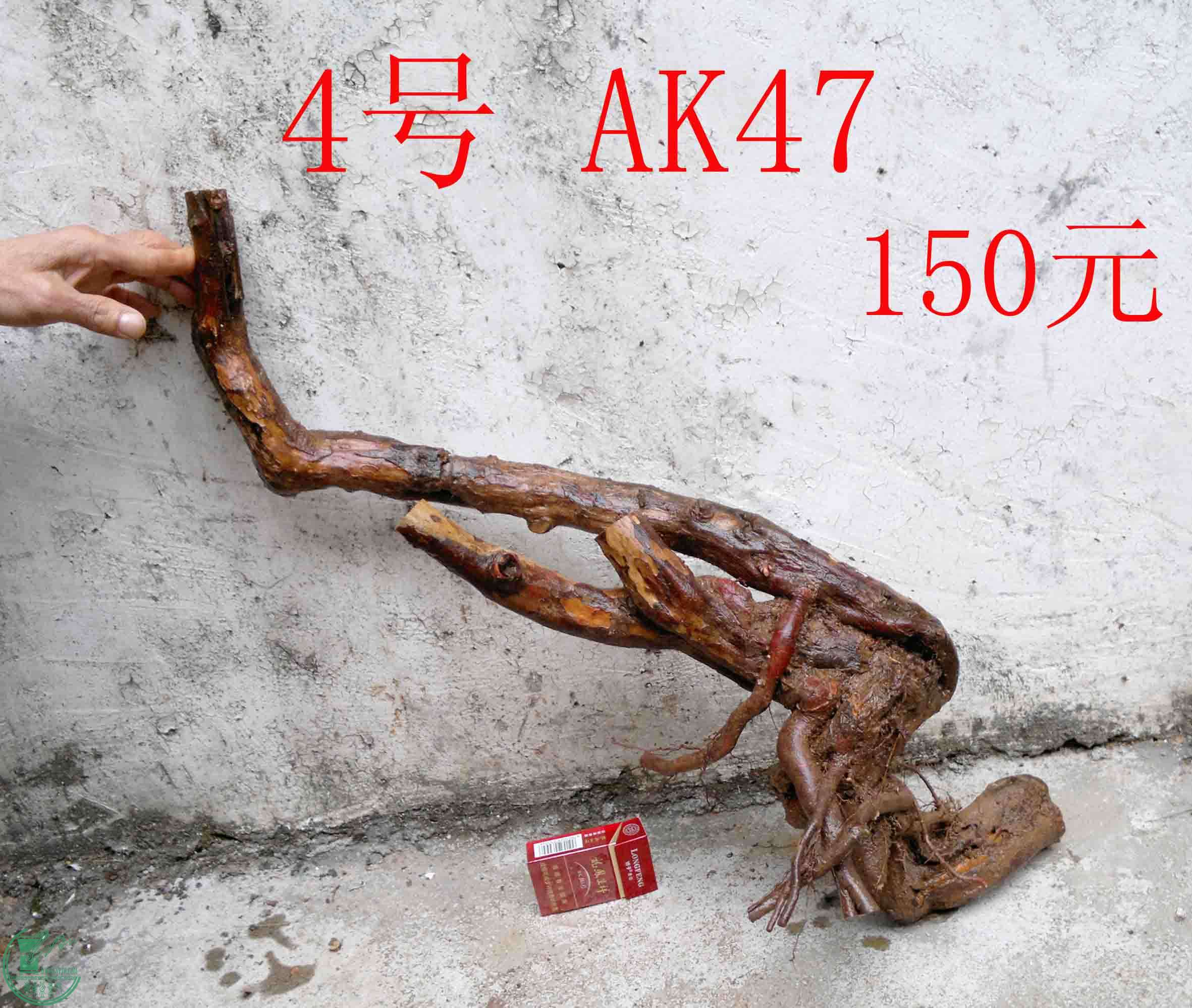 201502071946.jpg