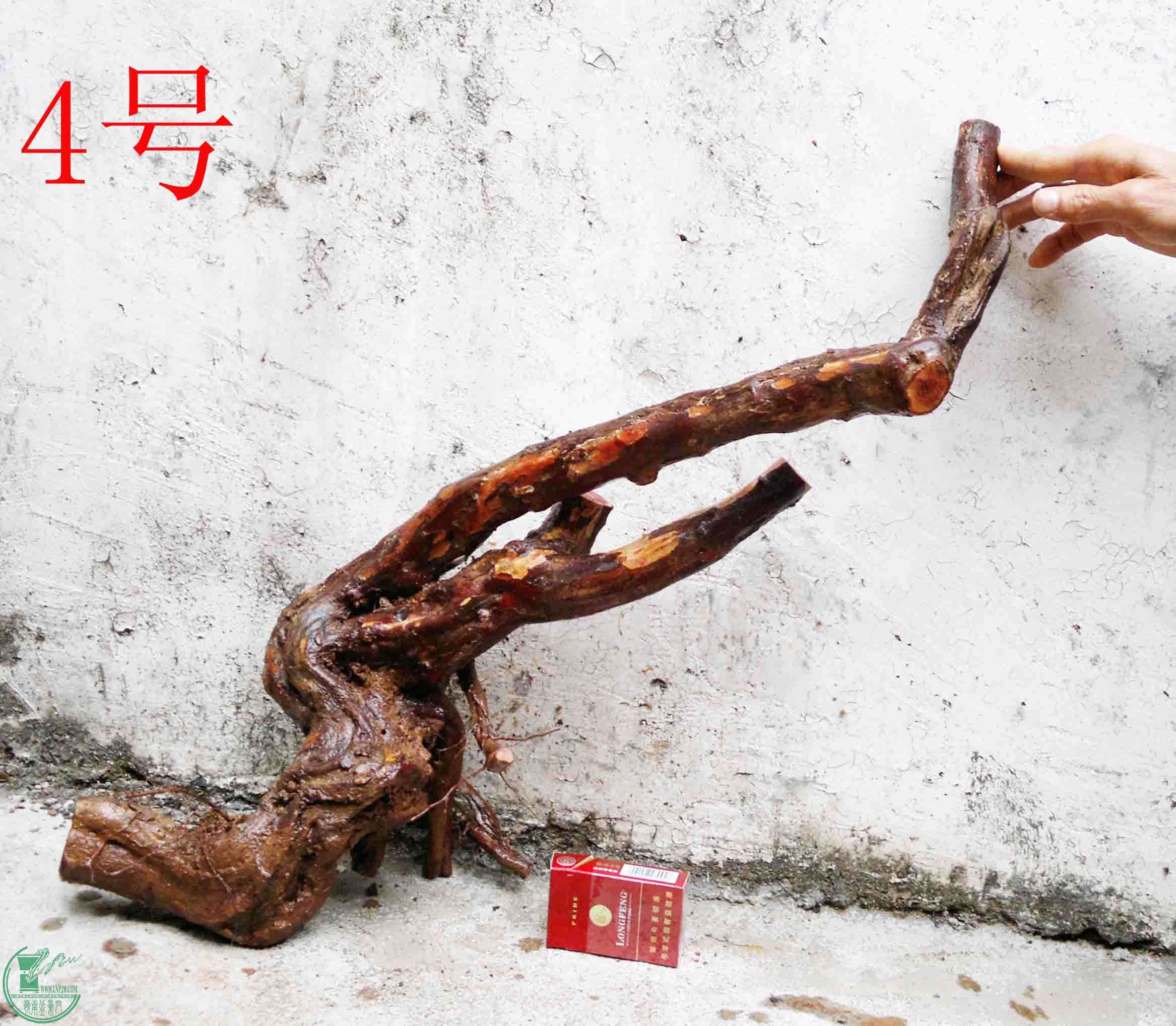201502071949.jpg