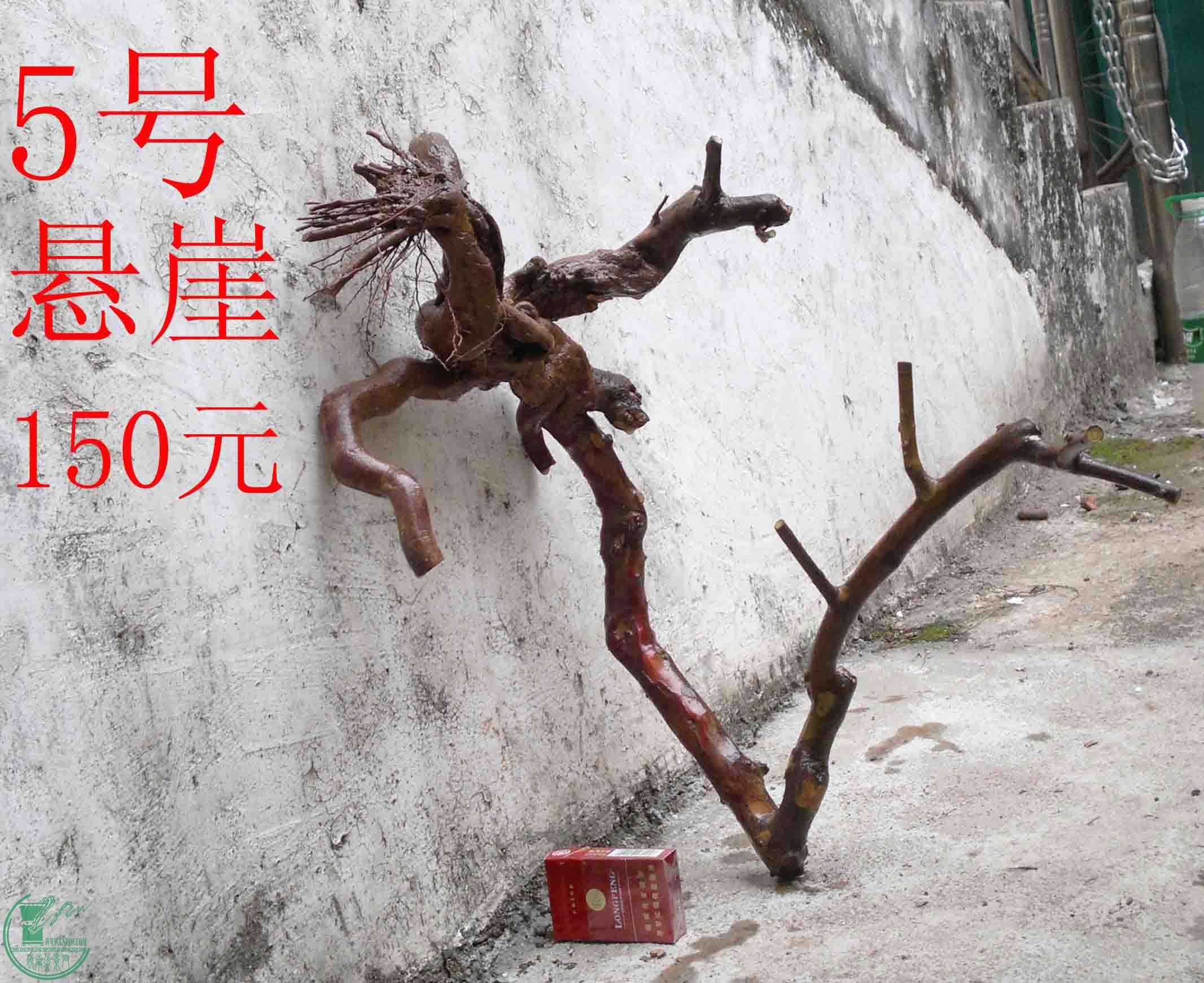 201502071952.jpg