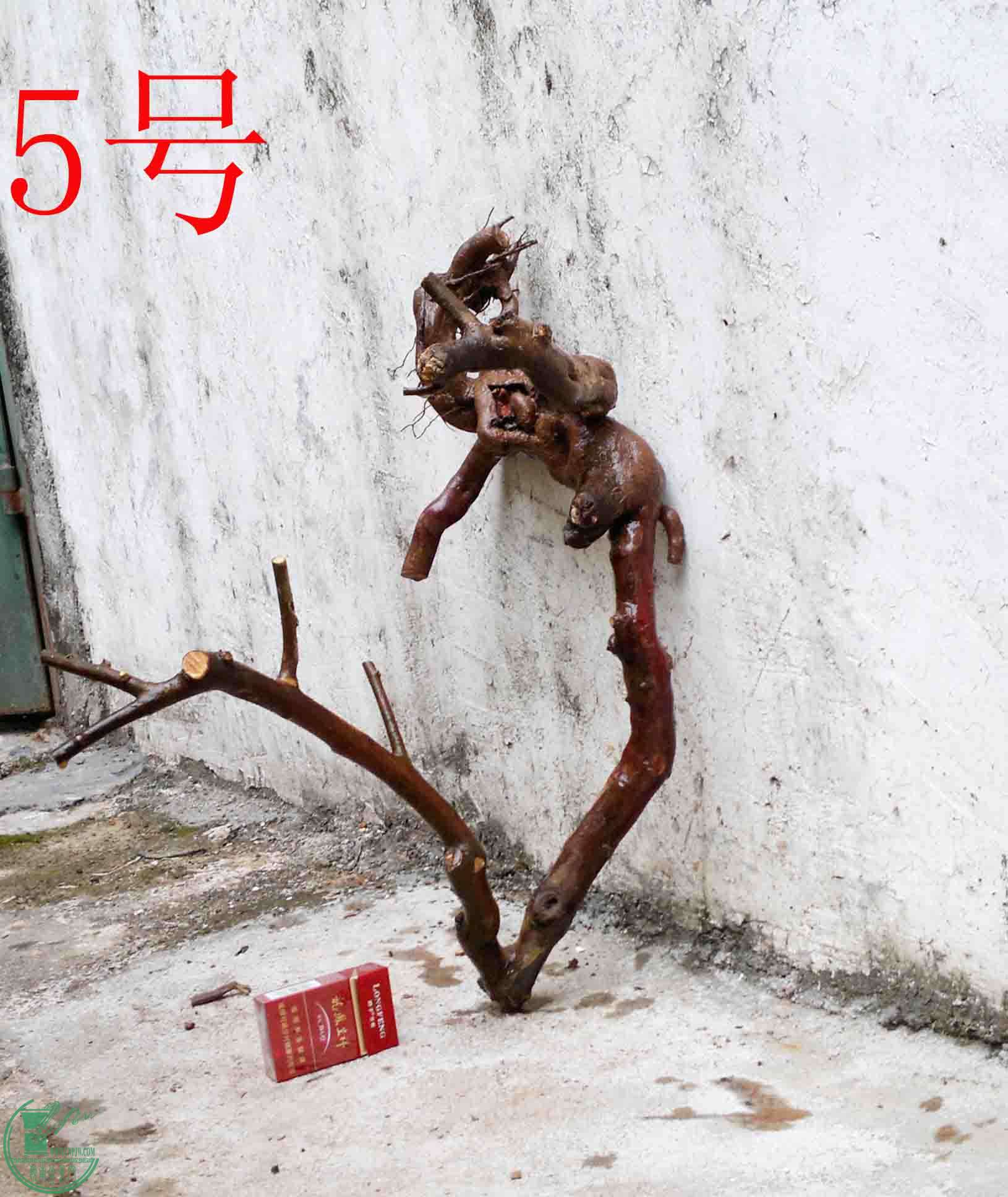 201502071953.jpg
