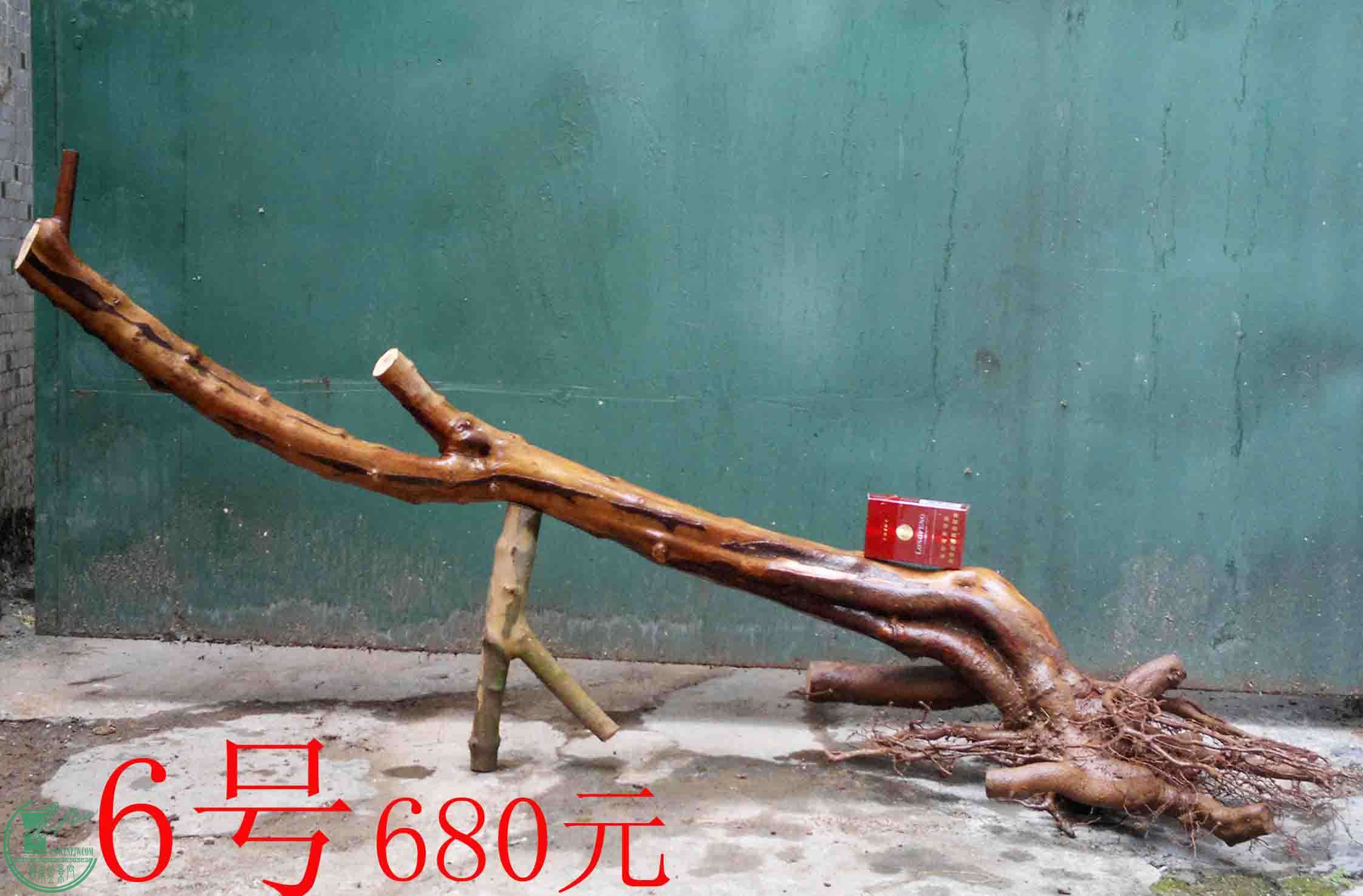 201502071958.jpg