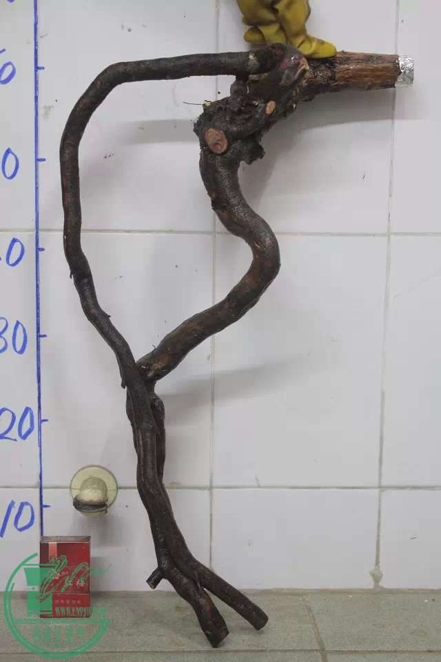 psb (9).jpg